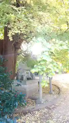 西蓮寺(茨城県)