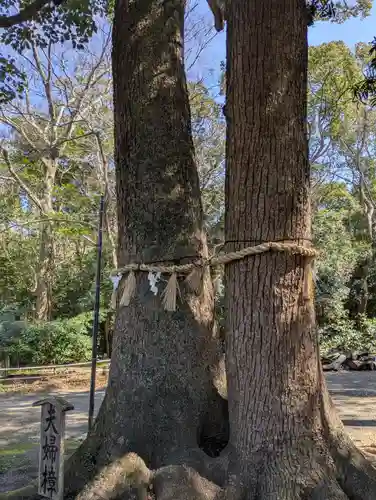 男神社(大阪府)