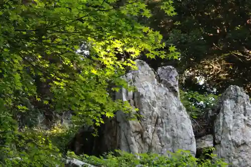 鹿島大神宮の自然