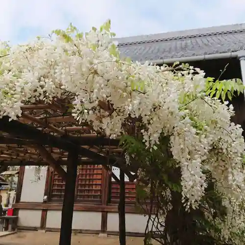 松應寺の庭園