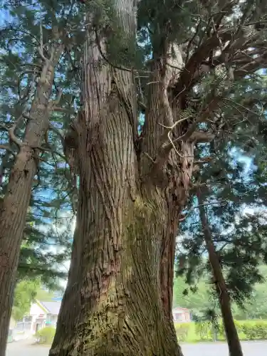 早池峰神社(岩手県)
