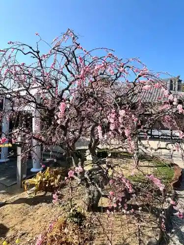 比佐豆知神社の{uncategorized: "未分類", other: "その他", undefined: "問題あり", building: "その他建物", grave: "お墓", sacred_gate: "鳥居", guardian: "狛犬", statue: "像", buddha: "仏像", history: "歴史", nature: "自然", garden: "庭園", animal: "動物", pagoda: "塔", temizu: "手水舎", mountain_gate: "山門・神門", sanctuary: "本殿・本堂", subordinate: "末社・摂社", art: "芸術", scenery: "景色", jizo: "地蔵", ema: "絵馬", goshuin: "御朱印", omikuji: "おみくじ", items: "授与品その他", amulet: "お守り", goshuincho: "御朱印帳", eats: "食事", festival: "お祭り", votive_dance: "神楽", shichigosan: "七五三参", wedding: "結婚式", experience: "体験その他", initially: "初詣", around: "周辺", anti_infection: "感染症対策"}