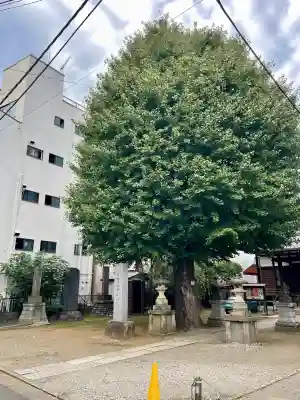 成田山不動大教会(東京都)