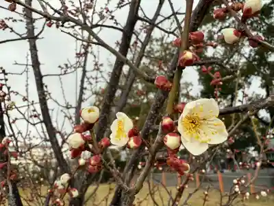 美奈宜神社(福岡県)