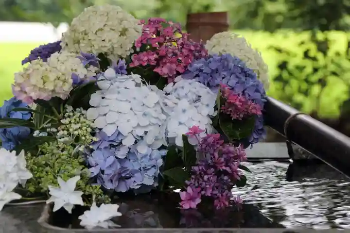 高司神社〜むすびの神の鎮まる社〜の手水舎