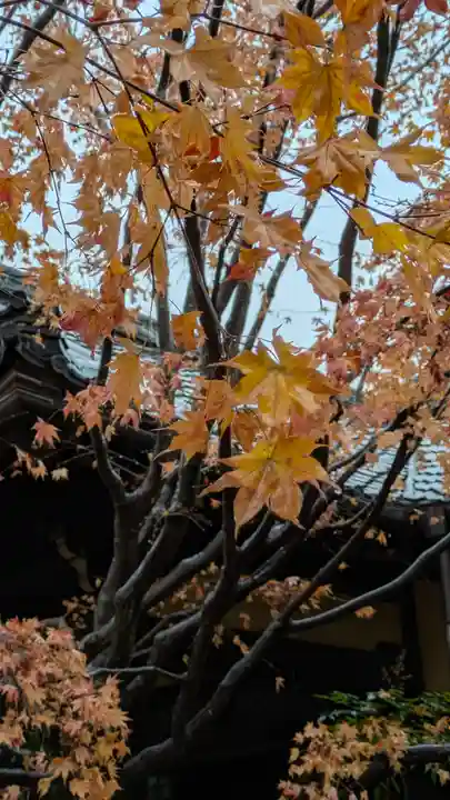 勝林寺(京都府)