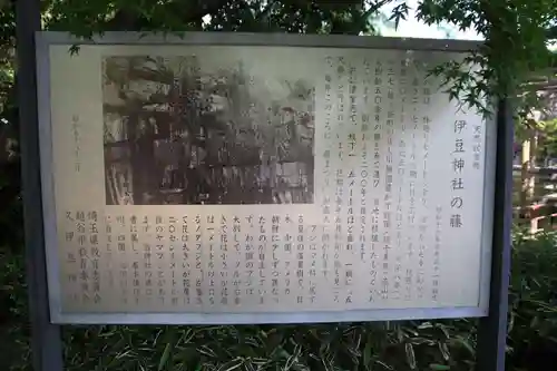 越ヶ谷久伊豆神社(埼玉県)