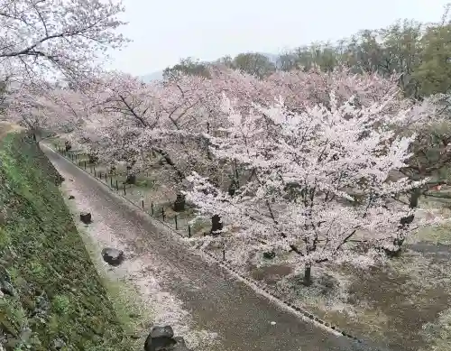 懐古神社(長野県)