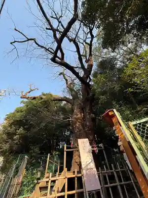 城山八幡宮(愛知県)