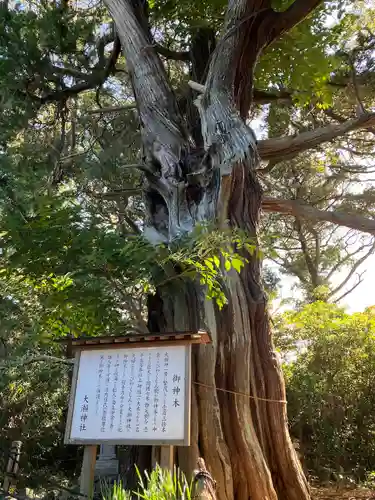 大瀬神社(静岡県)