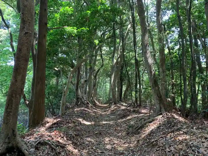 神明神社の自然