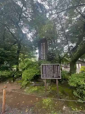 霧島神宮(鹿児島県)