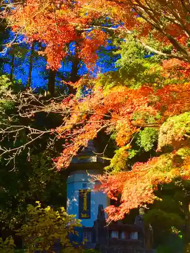 身延山 祖廟拝殿の自然