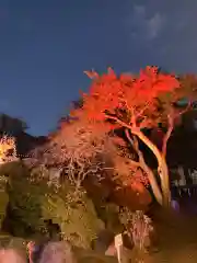 時宗総本山 遊行寺（正式：清浄光寺）(神奈川県)