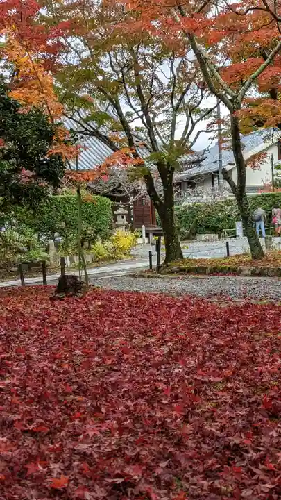 真正極楽寺(真如堂)(京都府)