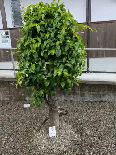 慈恩護国禅寺(岐阜県)