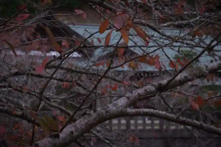 安房神社(千葉県)