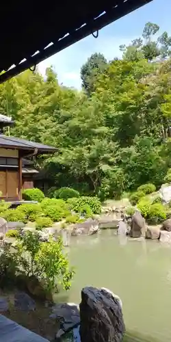  智積院の庭園