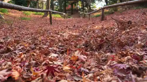 成相寺(京都府)