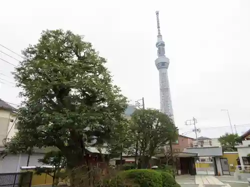 圓通寺の景色