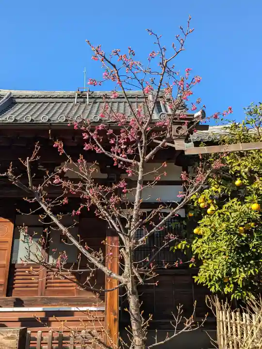 経王寺(東京都)