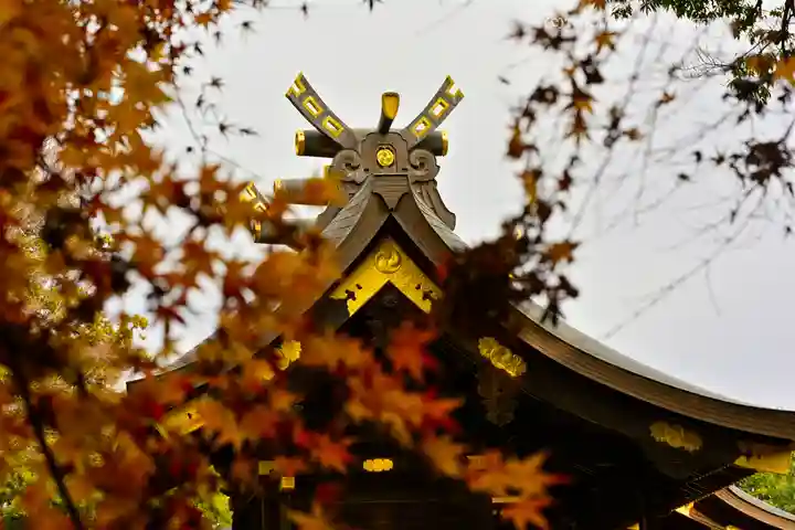 鷲宮神社(埼玉県)
