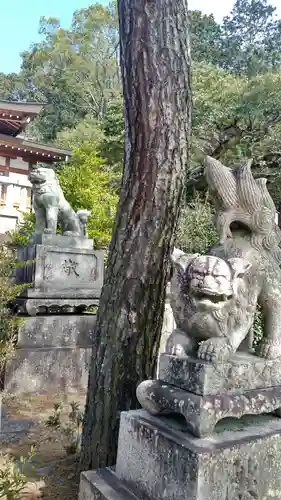 鶴崎神社の狛犬