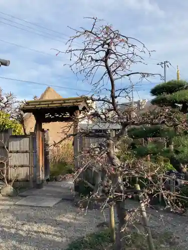 阿彌陀寺の庭園