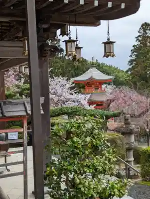 正法寺(京都府)
