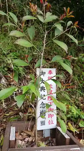 熊野神社の自然