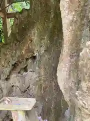 劔之宮王子神社の建物その他