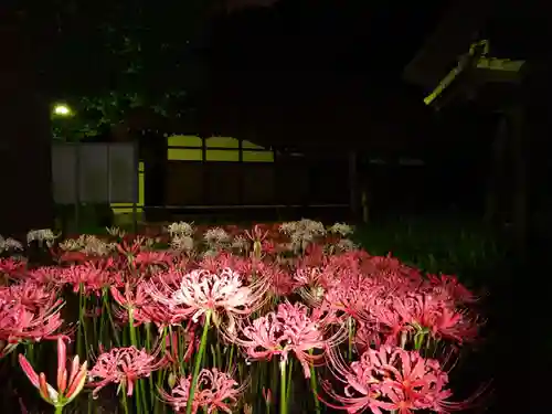 横浜　西方寺の自然