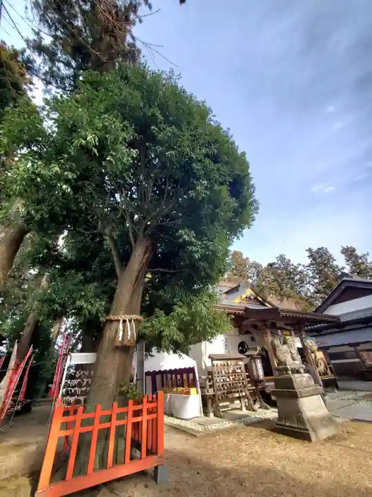 鏡石鹿嶋神社 *安産・開運・勝利の神さま*(福島県)