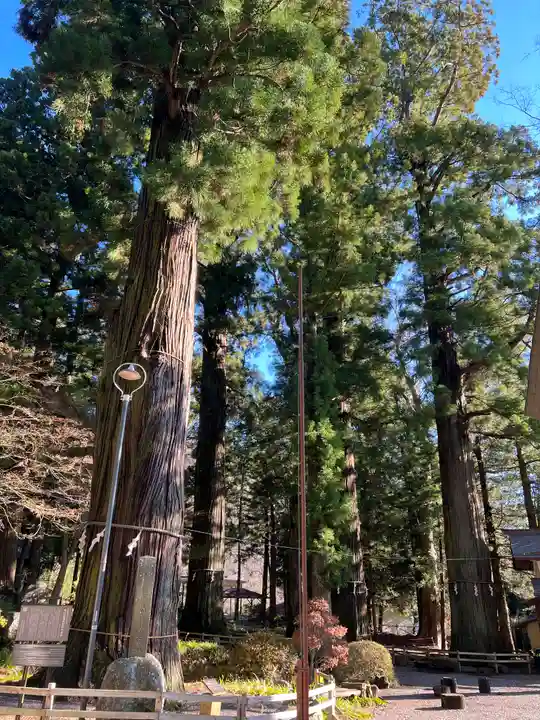 河口浅間神社のその他建物