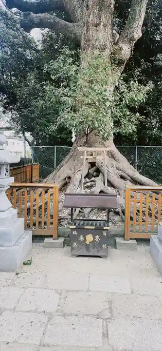 和泉國一之宮 大鳥大社(大阪府)