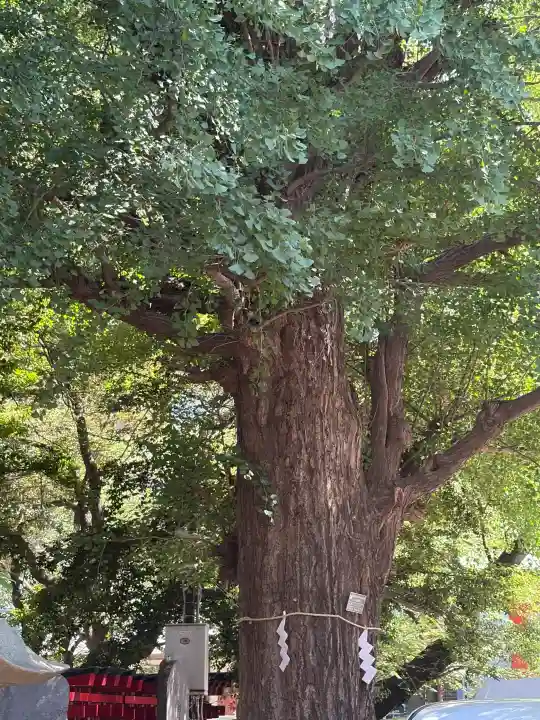 花園神社(東京都)