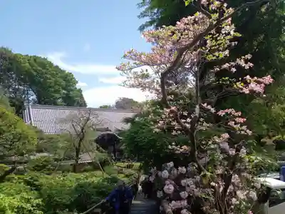 東長谷寺　薬王院(東京都)