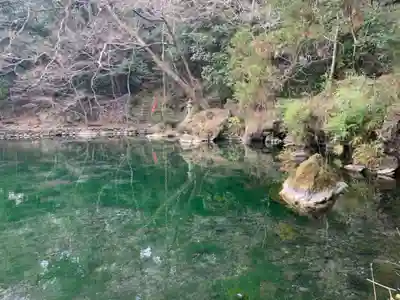 涌釜神社(栃木県)