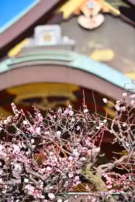 湯島天満宮(東京都)