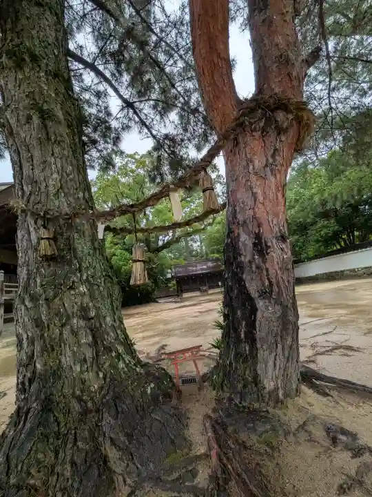 白鳥神社(香川県)