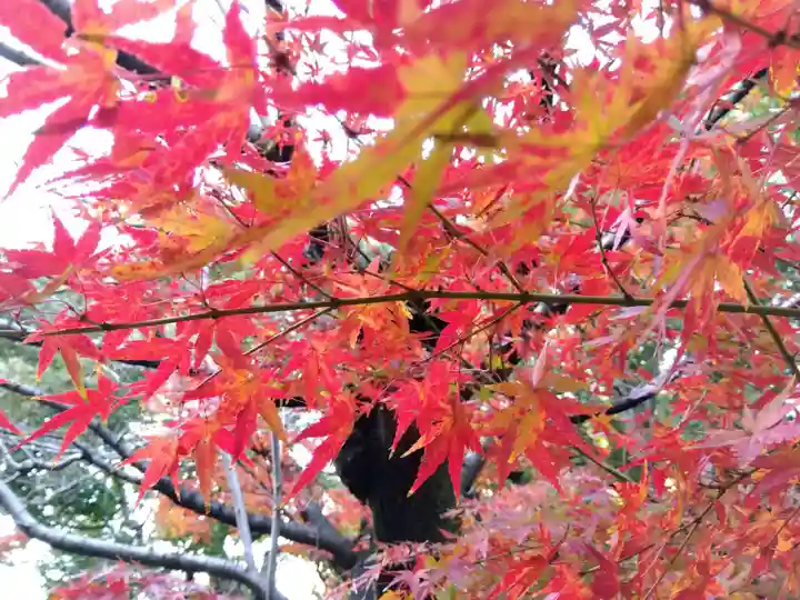 洲嵜神社(愛知県)