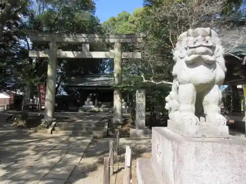 常磐神社の狛犬