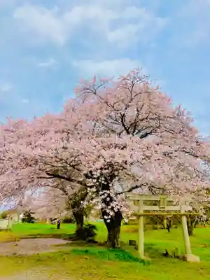 鹿嶋神社の自然