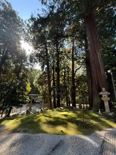 比沼麻奈為神社(京都府)