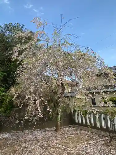 酒列磯前神社の庭園