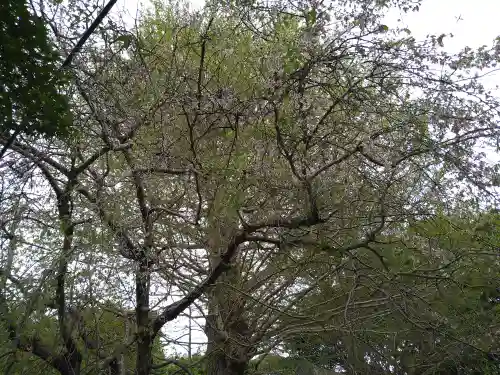 葛原岡神社の庭園