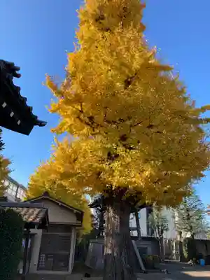 重林寺のその他建物