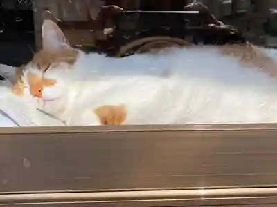 伊勢神社(岡山県)