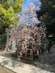 新田神社の自然