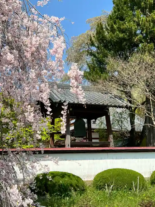 正蓮寺の{uncategorized: "未分類", other: "その他", undefined: "問題あり", building: "その他建物", grave: "お墓", sacred_gate: "鳥居", guardian: "狛犬", statue: "像", buddha: "仏像", history: "歴史", nature: "自然", garden: "庭園", animal: "動物", pagoda: "塔", temizu: "手水舎", mountain_gate: "山門・神門", sanctuary: "本殿・本堂", subordinate: "末社・摂社", art: "芸術", scenery: "景色", jizo: "地蔵", ema: "絵馬", goshuin: "御朱印", omikuji: "おみくじ", items: "授与品その他", amulet: "お守り", goshuincho: "御朱印帳", eats: "食事", festival: "お祭り", votive_dance: "神楽", shichigosan: "七五三参", wedding: "結婚式", experience: "体験その他", initially: "初詣", around: "周辺", anti_infection: "感染症対策"}